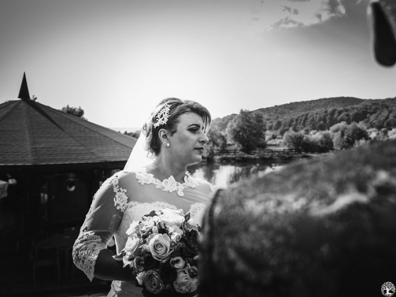 Fotodream.ro-Nunta-Brasov-Ana-Maria-Laurentiu-1110