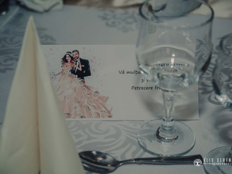 Anca-Codrut-Wedding-163