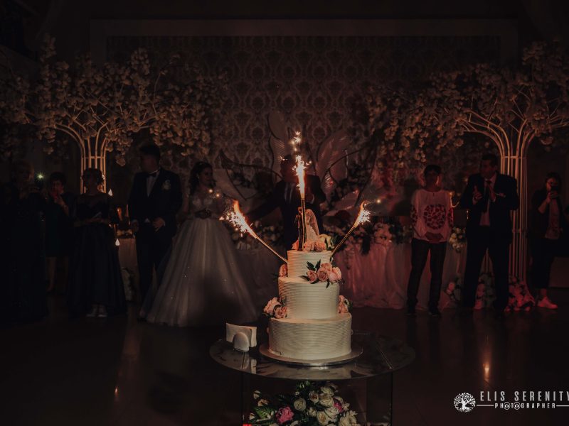 Anca-Codrut-Wedding-184