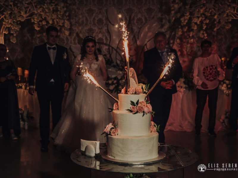 Anca-Codrut-Wedding-186