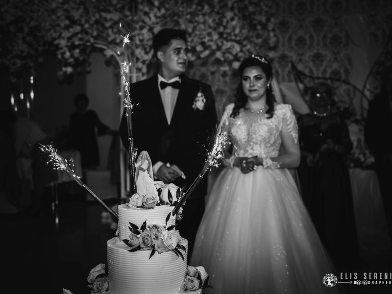 Anca-Codrut-Wedding-187