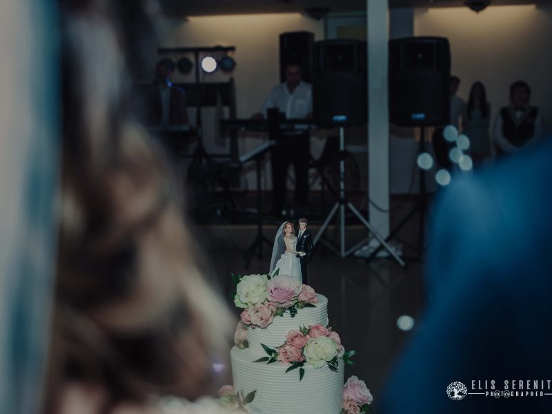 Anca-Codrut-Wedding-189