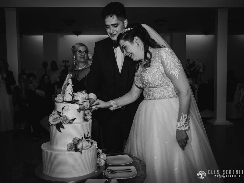 Anca-Codrut-Wedding-193