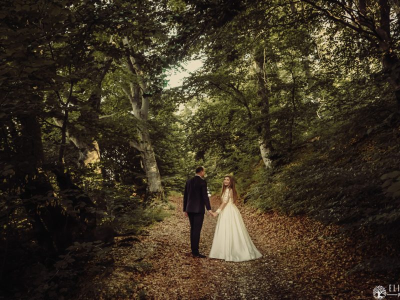 FOTODREAM-After-Wedding-Andreea-Marian-1