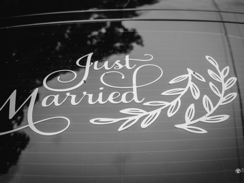 Diana-Bogdan-Wedding-24