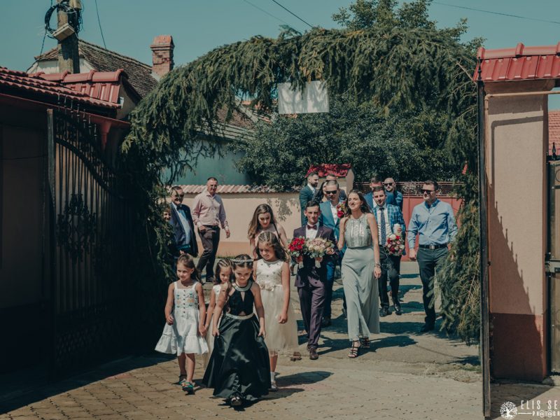 Fotodream.ro-Diana-Claudiu-nunta-brasov-173