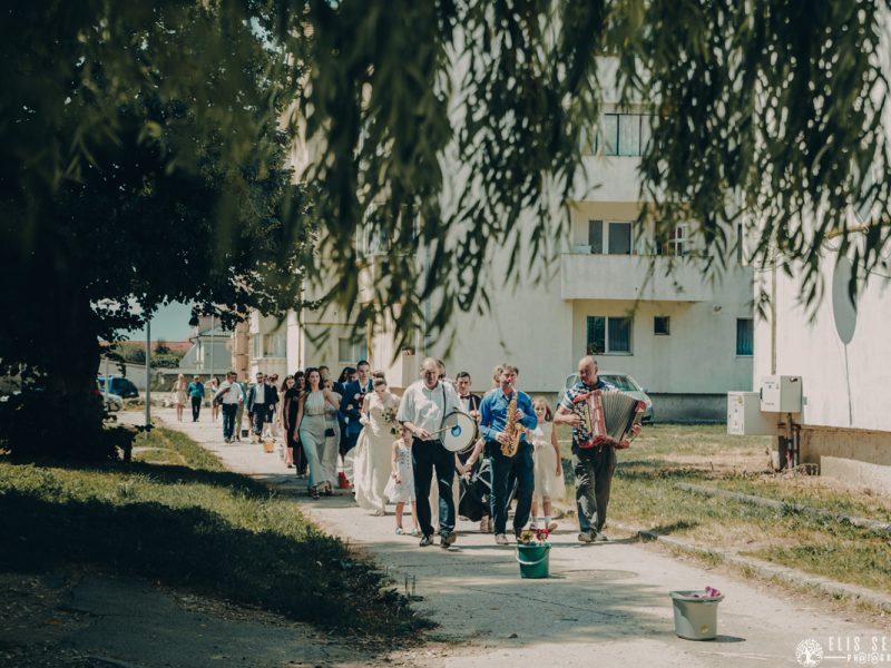 Fotodream.ro-Diana-Claudiu-nunta-brasov-672