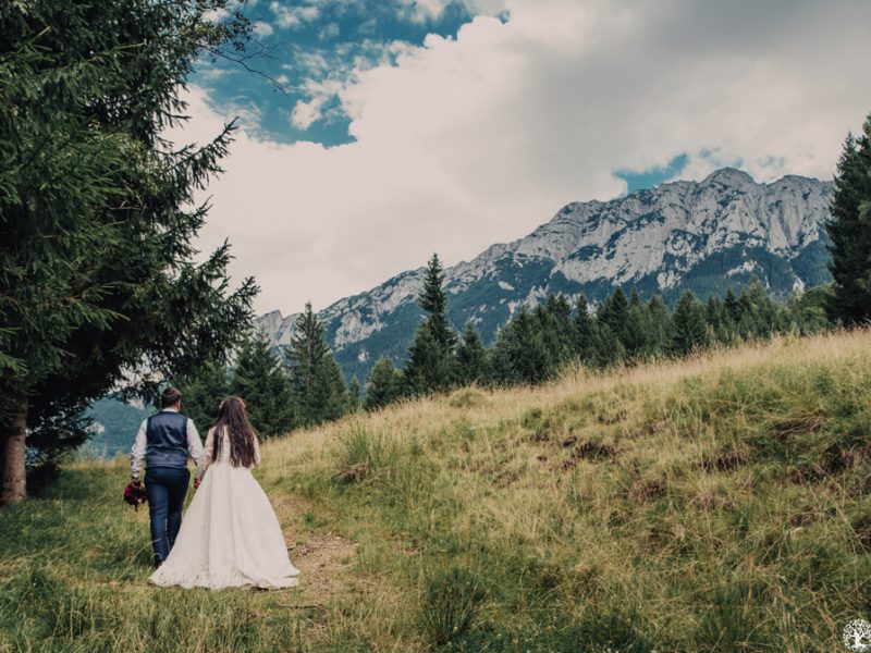 Fotodream.ro-Affter-Wedding-Livia-Dan-2