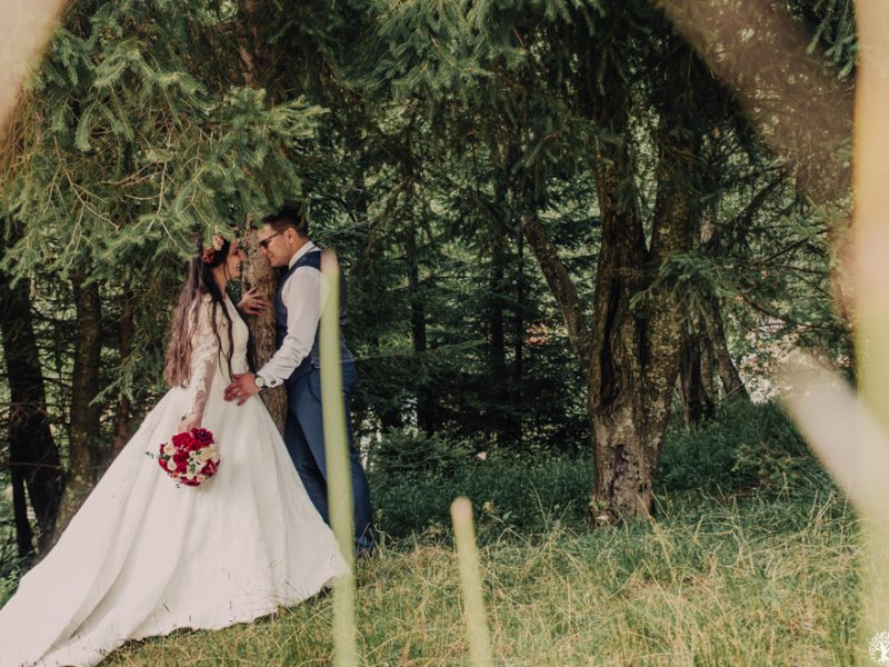 Fotodream.ro-Affter-Wedding-Livia-Dan-32