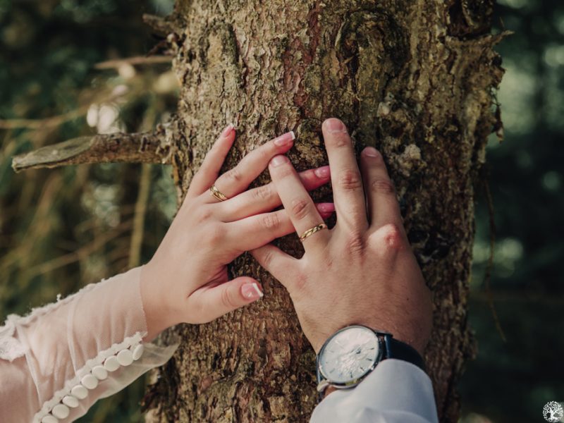 Fotodream.ro-Affter-Wedding-Livia-Dan-35