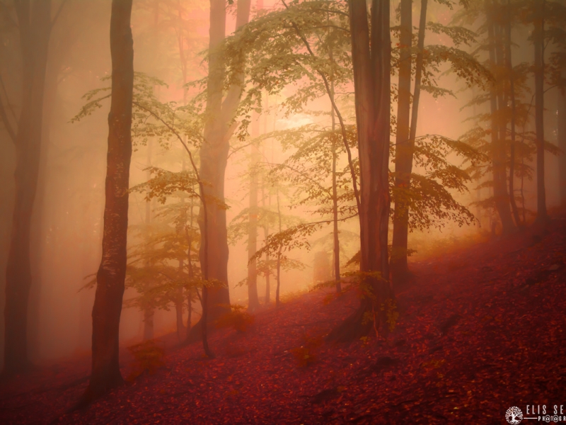 Natura Landscape (17)
