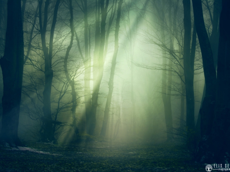 Natura Landscape (20)