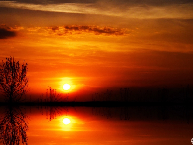 Natura Landscape (28)
