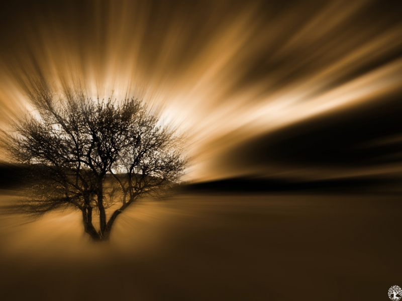 Natura Landscape (8)