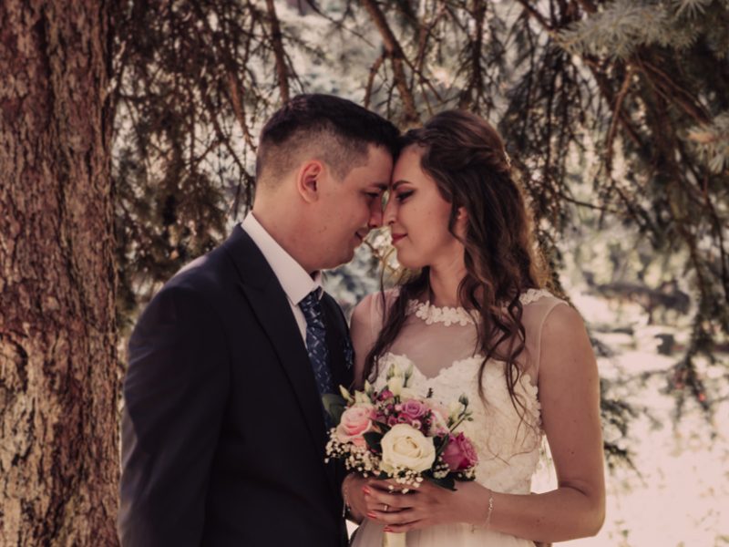 fotograf-brasov-cununie-civila-Cristian-nicoleta-54