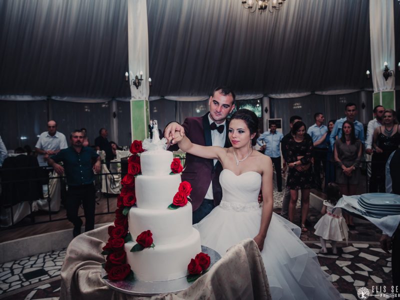 Elis serenity fotograf brasov-sabina & silviu (243)