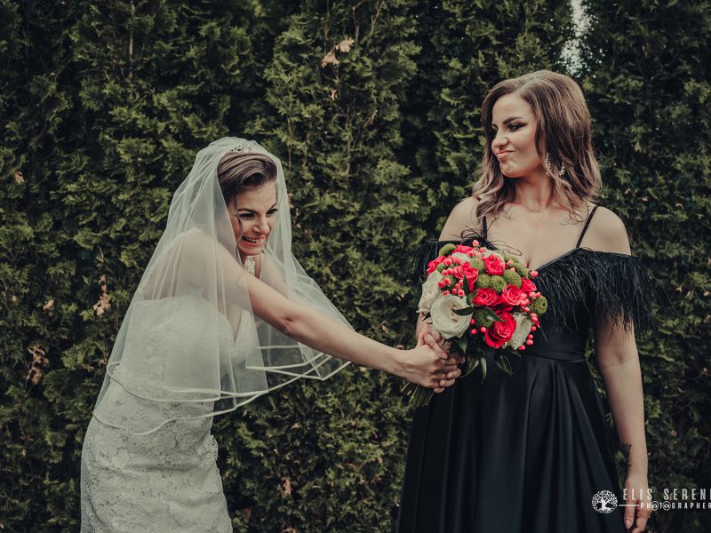 Elis-serenity-fotodream.ro-nunta-brasov-118