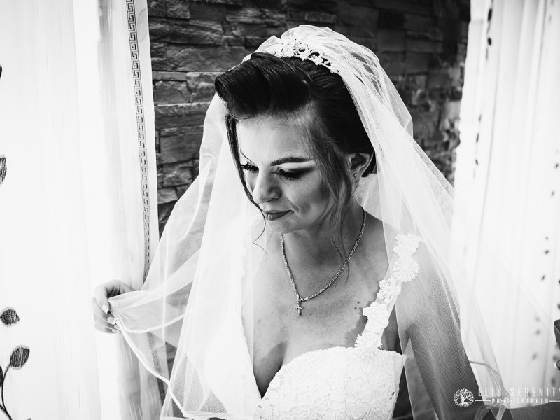 Elis-serenity-fotodream.ro-nunta-brasov-40