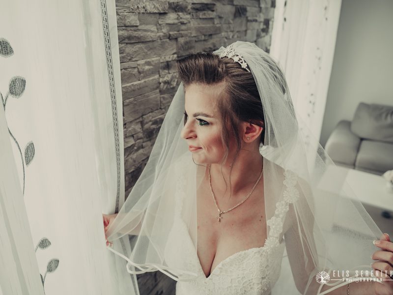 Elis-serenity-fotodream.ro-nunta-brasov-41